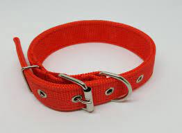 COLLAR P/ MASCOTAS CHICO REFORZADO