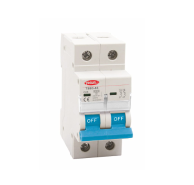 TERMICA BIPOLAR 40 AMP